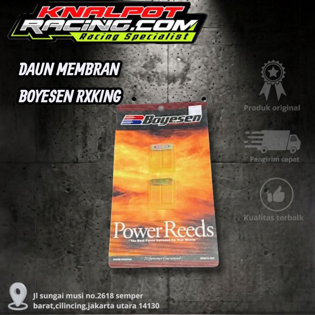 DAUN MEMBRAN BOYESEN RXKING