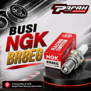 BUSI NGK BR8EG