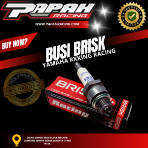 BUSI BRISK RACING RX KING F1ZR