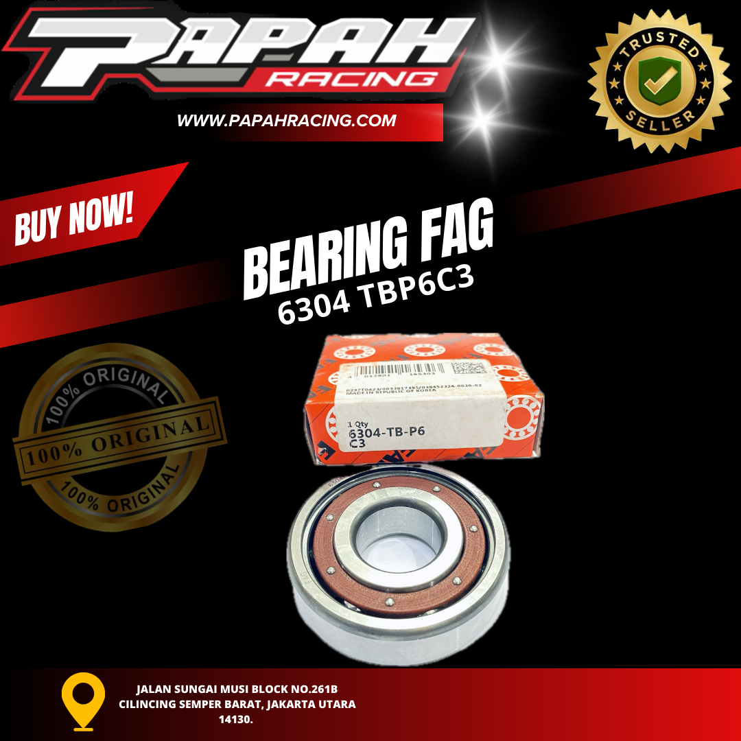 FAG 6304 TBP6C3