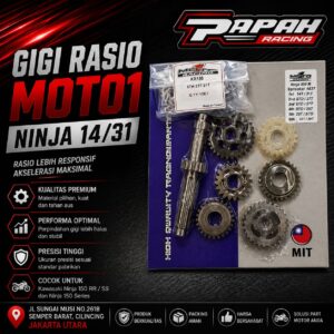 GIGI RASIO MOTO1 NINJA 14/31