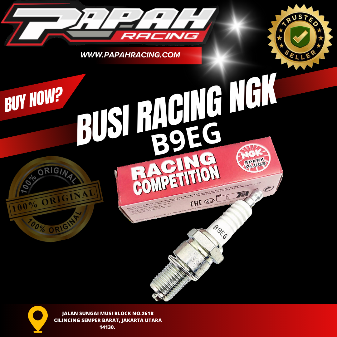 BUSI RACING NGK B9EG NGK