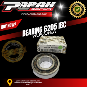 BEARING 6205 IBC PA.P63.V631