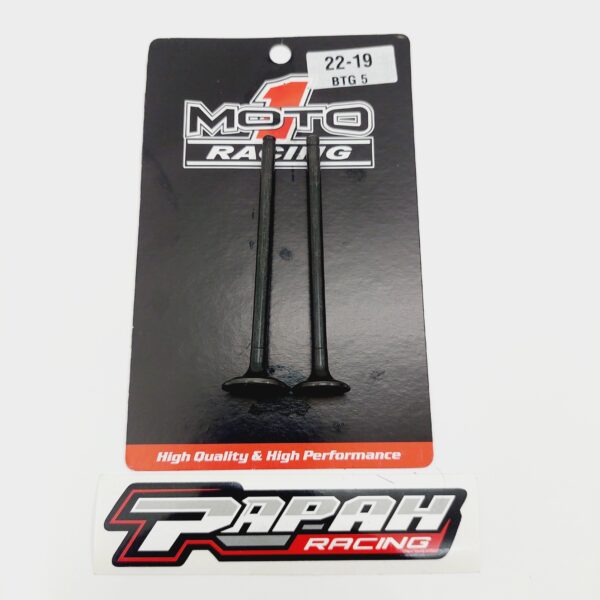 KLEP MOTO1 22-19 BATANG 5MM
