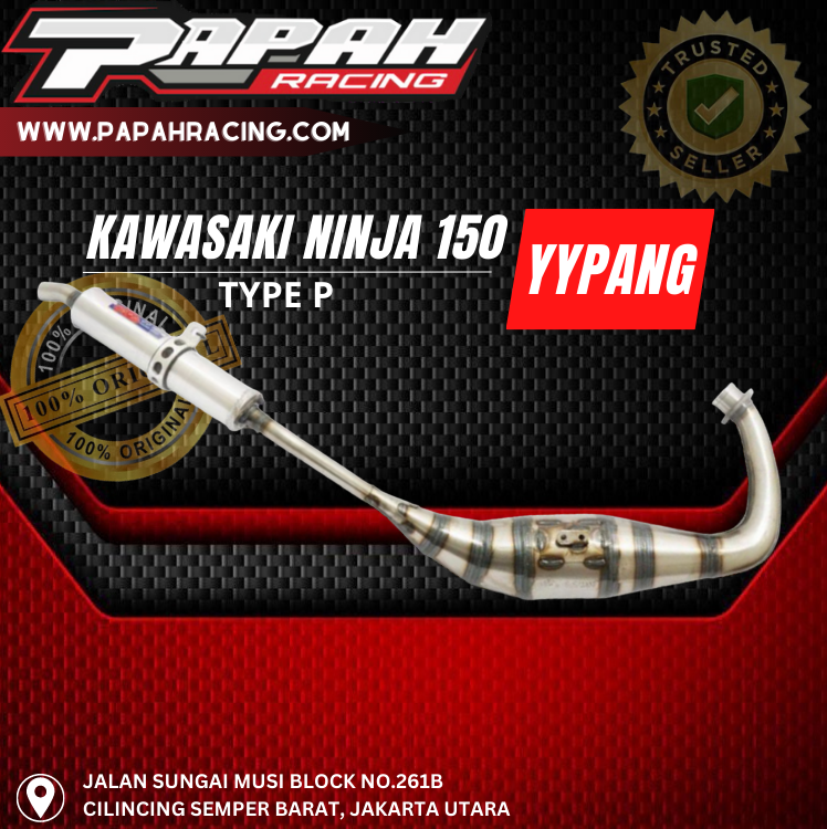 KNALPOT YYPANG NINJA 150R RR TYPE P