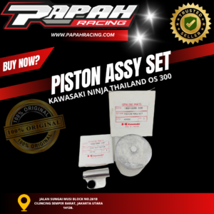 PISTON-ASSY-SET-KAWASAKI-NINJA-THAILAND-OS-300
