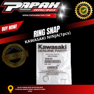 RING-SNAP