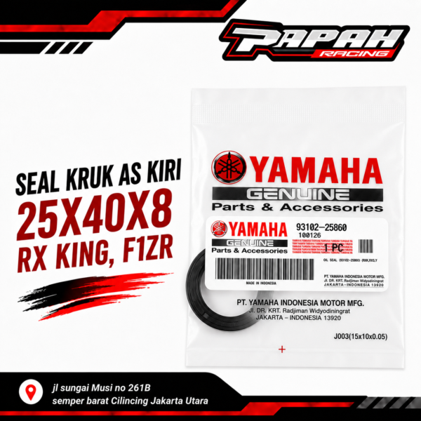 SEAL KRUK AS KIRI 25X40X8 RX KING, F1ZR