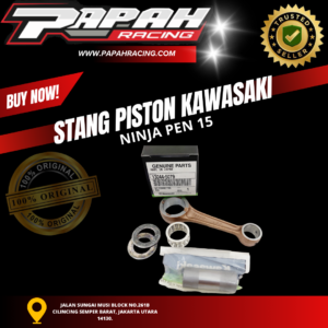 STANG-PISTON-KAWASAKI-NINJA-PEN-15.