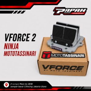 VFORCE 2 NINJA MOTOTASSINARI