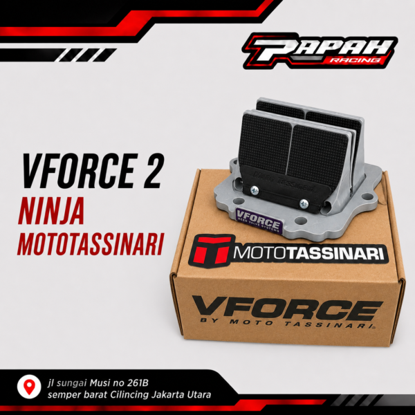 VFORCE 2 NINJA MOTOTASSINARI