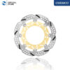 Floating Disc Brake X-MAX/R25 300mm (Bracket Support)