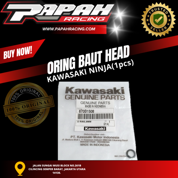 ORING BAUT HEAD KAWASAKI NINJA (1pcs)