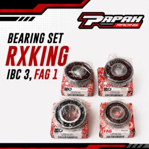 BEARING SET RXKING AKU IBC 3 FAG 1