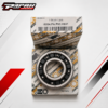 BEARING IBC 6204 PAP